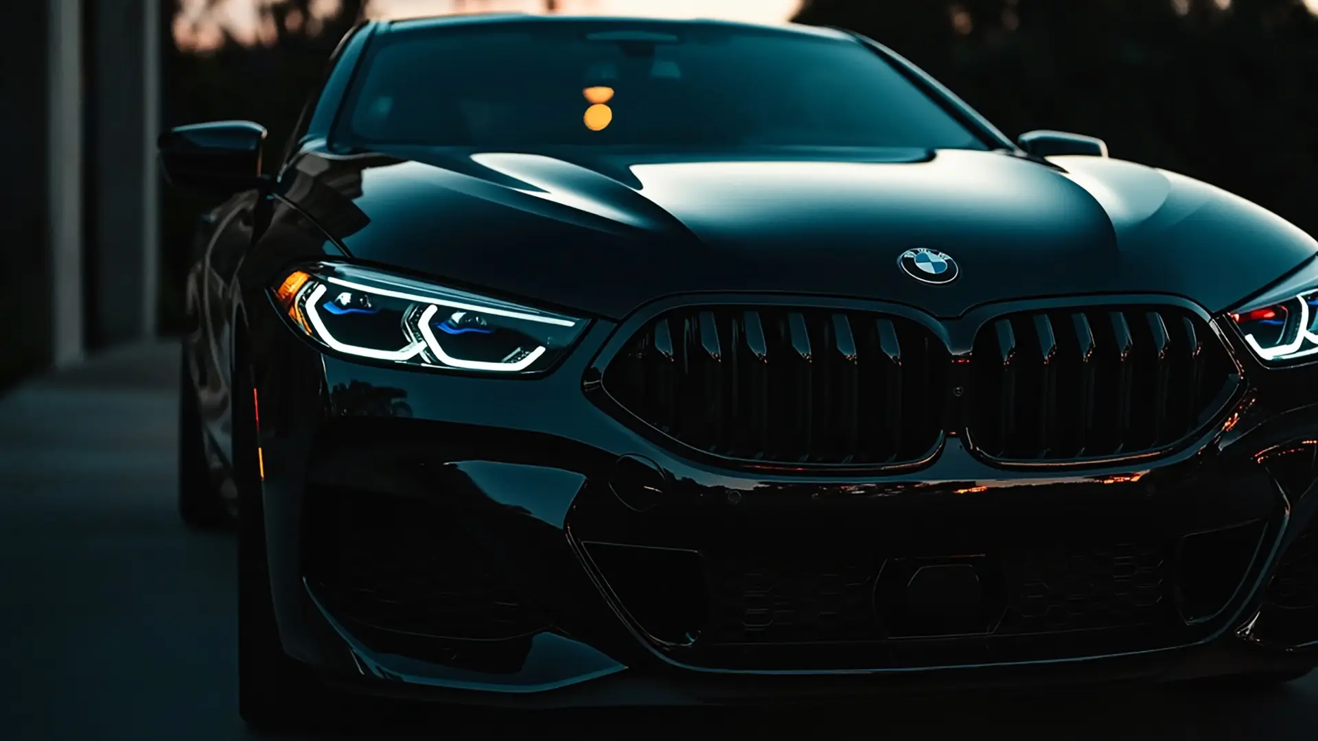 СЕРВИС ТОЛЬКО ДЛЯ BMW И MINI